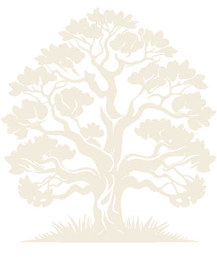 Renaissance Vibration